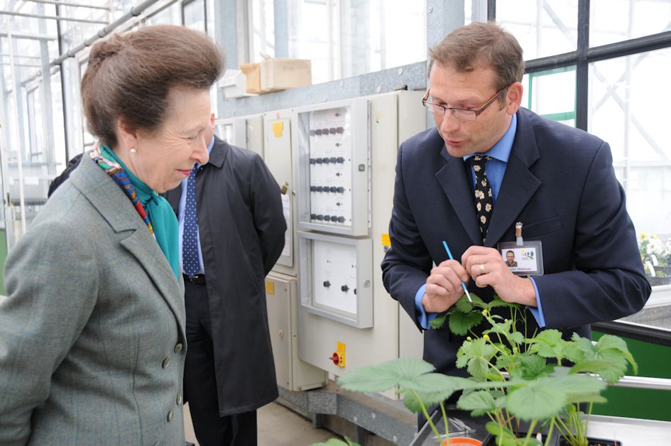 Adam Whitehouse explains Strawberry breeding techniques to HRH The Princess Royal